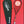 Laden Sie das Bild in den Galerie-Viewer, Oliver Dragon 3 / äusserst beliebtes Squashracket