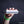 Laden Sie das Bild in den Galerie-Viewer, Headis Ballpumpe