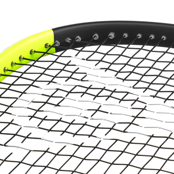 Dunlop Blackstorm Graphite - eines der besten Allround-Rackets